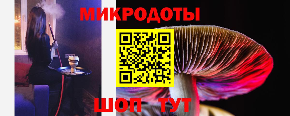 Галлюциногенные грибы Psilocybe  Вход с VPN  Рубцовск 