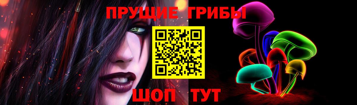 Меф Рубцовск
